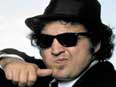 Comes in 2 colors and 2 sizes. John Belushi Blues Brothers Sunglasses