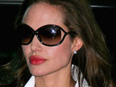 Angelina Jolie Tom Ford Style Sunglasses